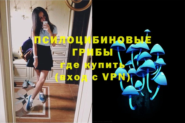 герыч Богородск